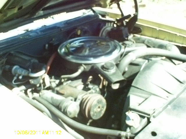 Pontiac (074.JPG)