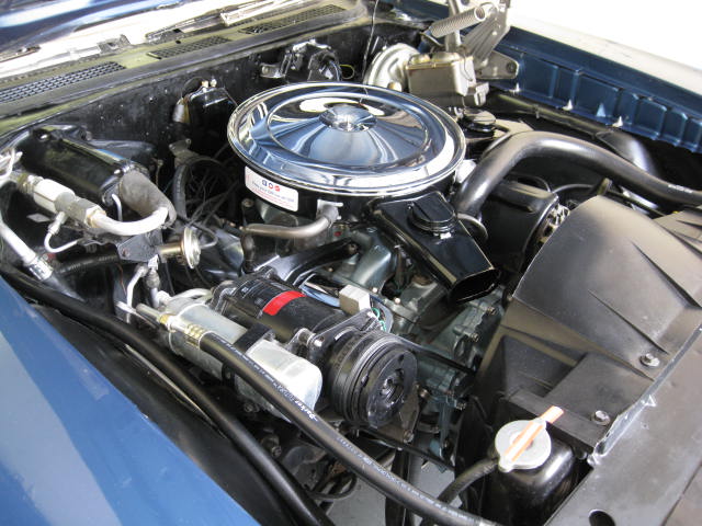 GTO (4.jpg)